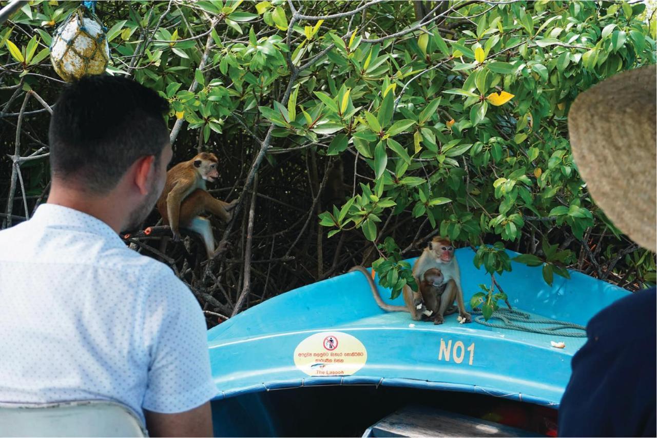 Villa Hundira Negombo Dış mekan fotoğraf
